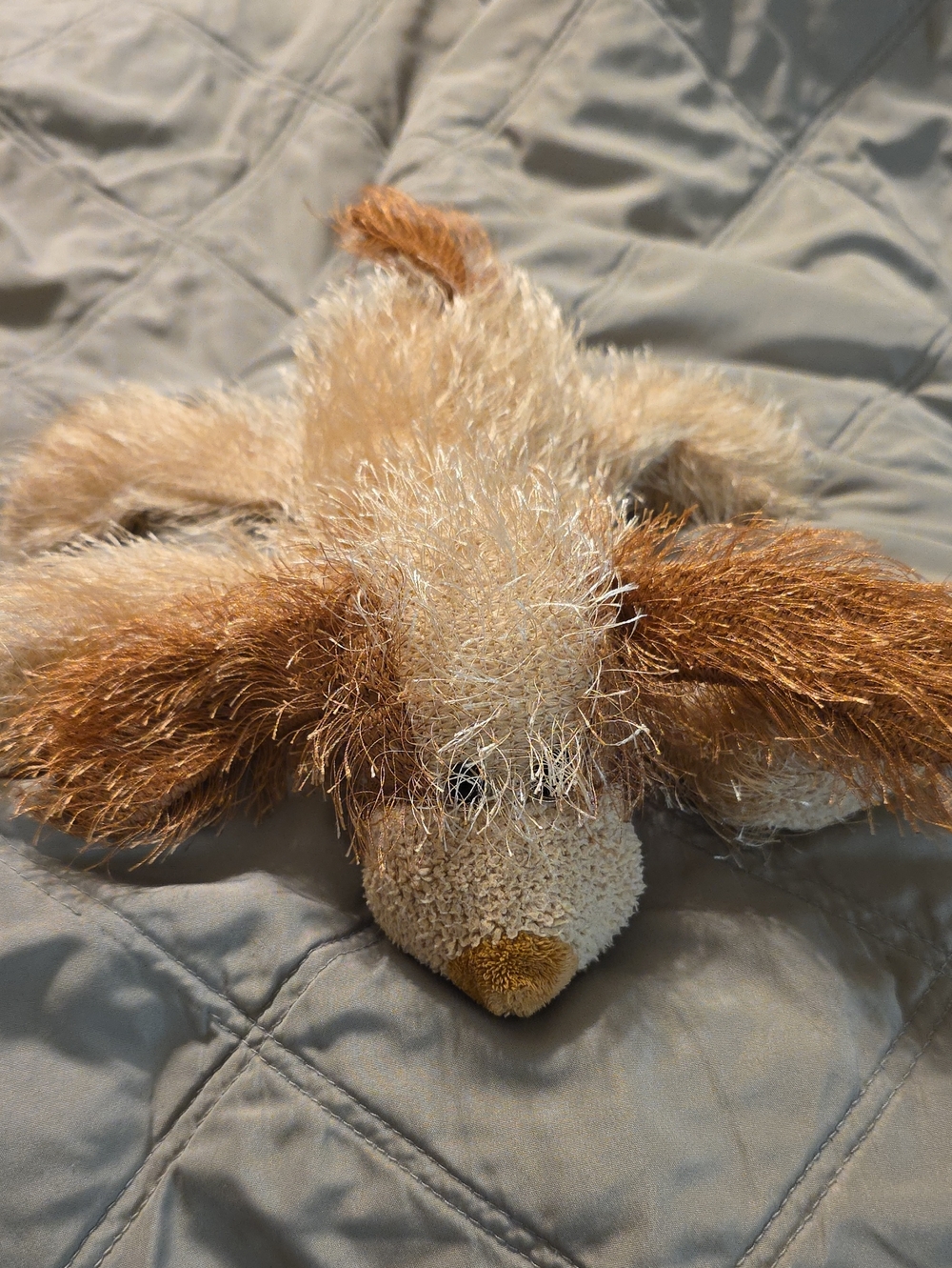 Shreds The Dog 2002 Ty Punkies Collection Beanbag Plushies